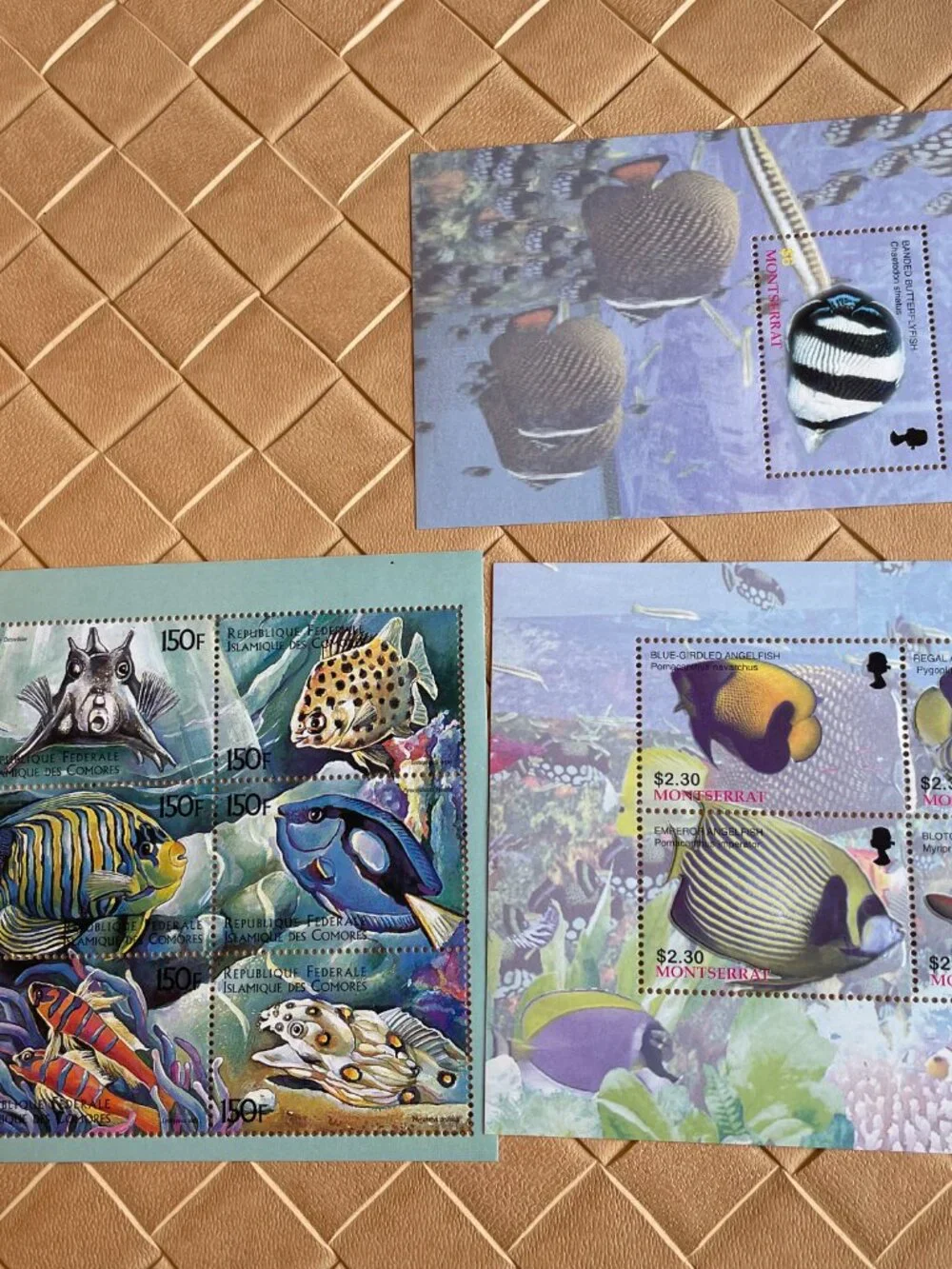19 Fish Stamps from World Fish Stamp Collection & Binder Mystic Stamp Co. New